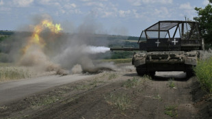 Rusia reivindica la toma de un pueblo del sureste de Ucrania