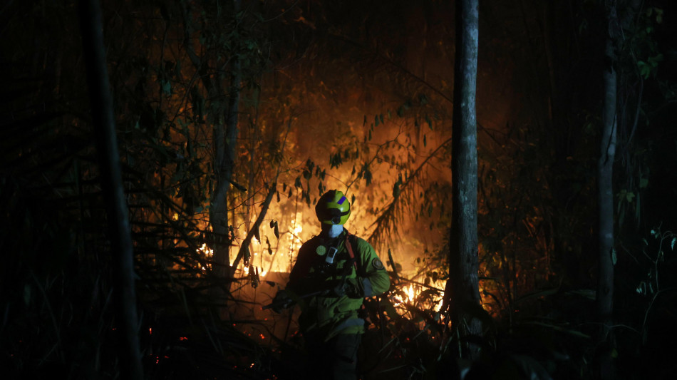 Dichiarata l'emergenza nazionale per gli incendi in Bolivia