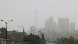 Iran cierra escuelas y administraciones por una tormenta de arena