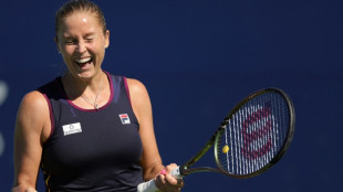 Rogers sweeps into San Jose WTA final