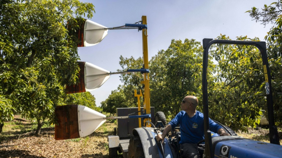 Israel enlists drones, AI and big data to farm for the future