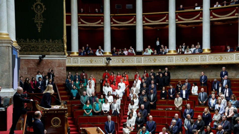 Diputados franceses se visten con los colores de la bandera palestina