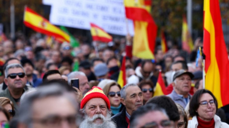 Miles de simpatizantes de ultraderecha protestan contra el gobierno en España