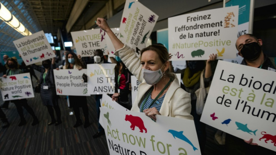 Sociedad civil quiere hacerse escuchar en la reunión sobre biodiversidad de la COP15