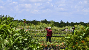 Una ley de Florida ensombrece el futuro de los trabajadores indocumentados