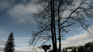 Aux Rousses, la fête du ski de fond a eu chaud