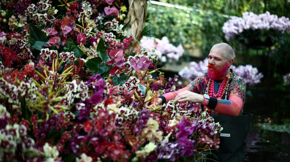 "Un viaje a Perú" a través de las orquídeas en el londinense Real Jardín Botánico de Kew