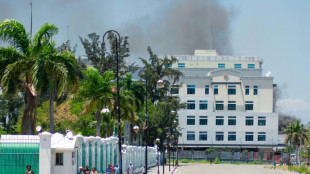 Bandas armadas asaltan la Biblioteca Nacional de Haití 