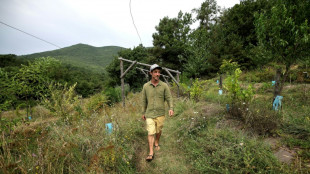 Dans la Drôme, des agriculteurs tentent de "ralentir" l'eau