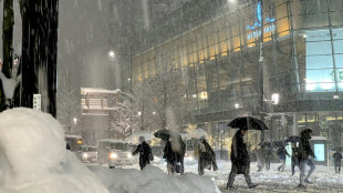 Diecisiete muertos en Japón a causa de las fuertes nevadas