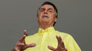 Bolsonaro pide a la justicia electoral desconsiderar la minuta para revisar las presidenciales