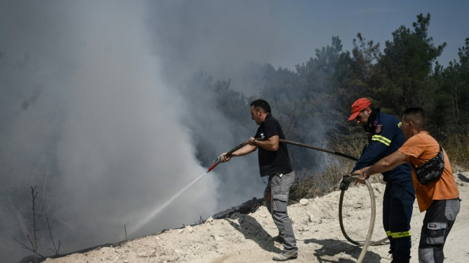 Los bomberos siguen luchando contra el fuego en el noreste de Grecia