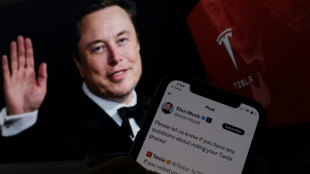 Accionistas de Tesla apoyan millonario plan de remuneración de Musk, según el magnate