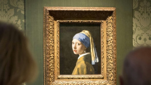 'Girl with a Pearl Earring' back on display in Dutch museum