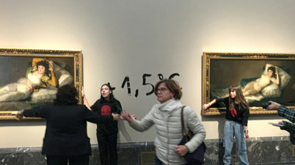 Deux militantes se collent la main sur des cadres de tableaux de Goya à Madrid