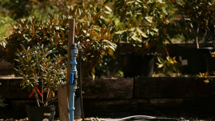 Le jardin, passion anglaise menacée par la sécheresse 