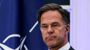 Neuer Nato-Generalsekretär Rutte sieht Ukraine als Priorität