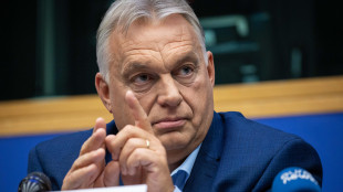 Orban, 'sui migranti hotspot fuori l'Ue unica soluzione'