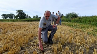 Une nouvelle canicule touche la France, affectant tous les organismes