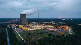 Gesamtmetall-Präsident fordert Debatte über Rückkehr zur Atomkraft