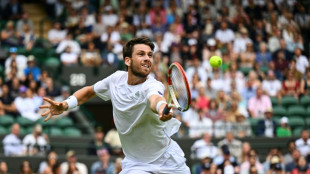 Norrie asks British crowd to turn up the volume at Wimbledon