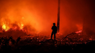 "Extrema vigilancia" en Francia por incendios forestales ante pico de calor