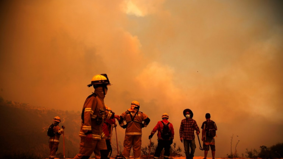 Mindestens 46 Tote bei Waldbränden in Chile