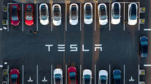 Les ventes de Tesla ont continué de chuter en France en février