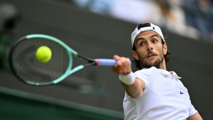 Wimbledon: du classique en demies, relevées à l'italienne