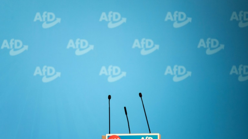 SPD-Generalsekretär Kühnert: Nicht genug Beweise für AfD-Verbot