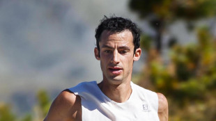 Kilian Jornet in 19 giorni scala gli 82 quattromila delle Alpi