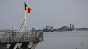 Ukraine eyes Romanian port for key farm exports