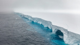 "Dramatique mais pas sans précédent": le plus grand iceberg au monde menace manchots et otaries