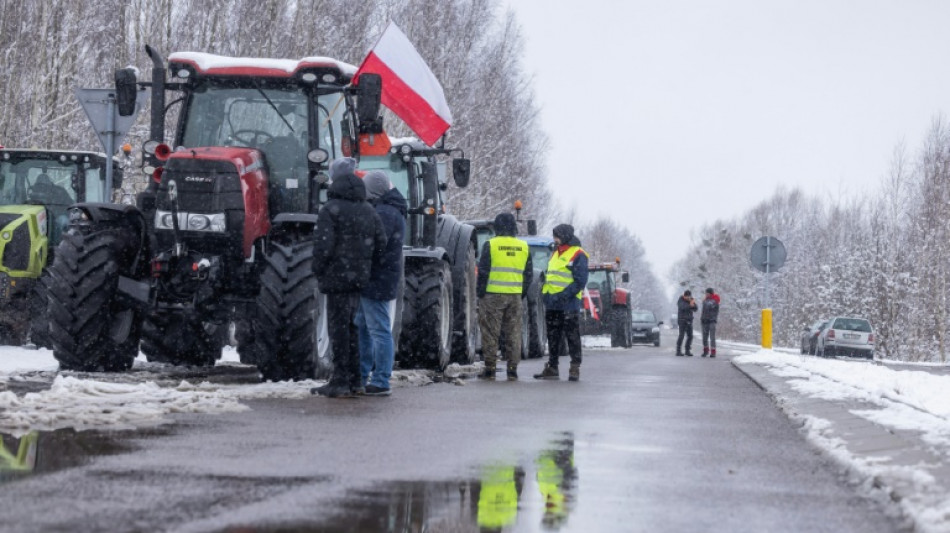 Selenskyj dringt auf sofortige Beilegung von Getreidestreit mit Polen