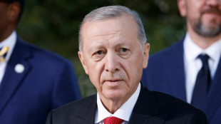 Erdogan in Berlin: Sorge um Sicherheit und Torjubel-Affäre überschatten Türkei-Spiel
