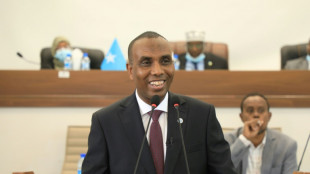 Somalia parliament endorses new PM