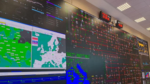 Terna chiude il 2024 con un utile di un miliardo, +19,9%