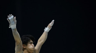 Gym: après l'or olympique, Hashimoto s'offre la couronne mondiale du concours général