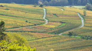 Wetterdienst: Oktober mit durchschnittlich zwölfeinhalb Grad "extrem warm"