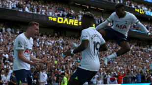 Tottenham's Premier League title credentials face Chelsea test