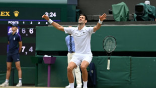 Djokovic, Nadal lead title chase at all-change Wimbledon