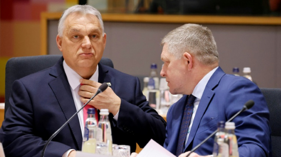 Orban legt erneut Veto gegen gemeinsame EU-Position zur Ukraine ein