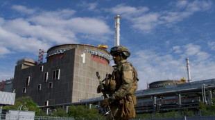 'Operating normally': Russia shows seized Ukraine nuclear plant