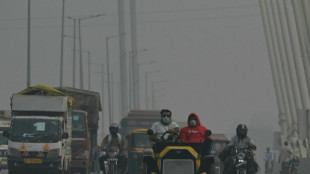 Air pollution drives 7% of deaths in big Indian cities: study