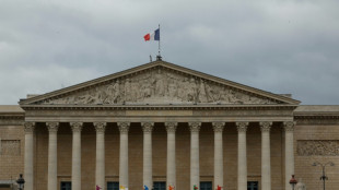 Macron urge a los franceses a tomar la "decisión correcta" tras el revés en las europeas