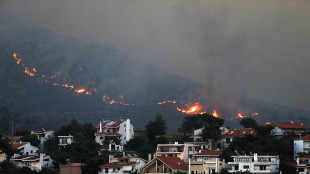 Nuove evacuazioni per incendio alle porte di Atene