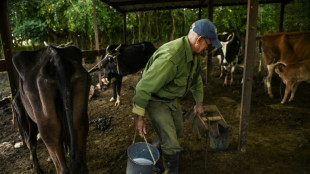 Cuba debate en el Parlamento la baja producción de alimentos