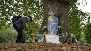 Latinos de Londres, entre indiferencia e indignación por el fastuoso funeral real