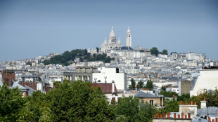 Les Parisiens disent oui aux "rues-jardin", une participation au plus bas