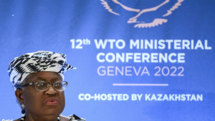 Countries haggle through the night to salvage WTO deals